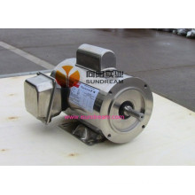 Stainless Steel 3 Phase Motor